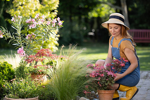istock Redhead female gardener working on sunny day 2235556424