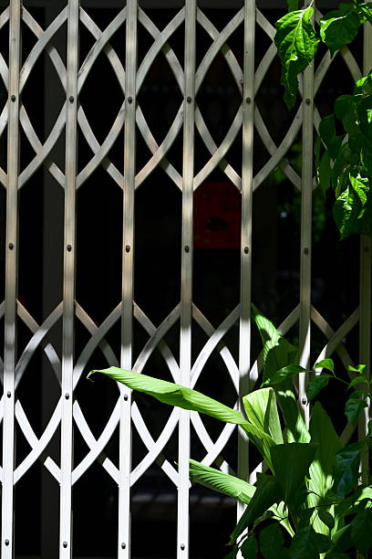 istock White Expandable Metal Security Gate with Diamond Pattern and Green Foliage in Sunlight 2235557264