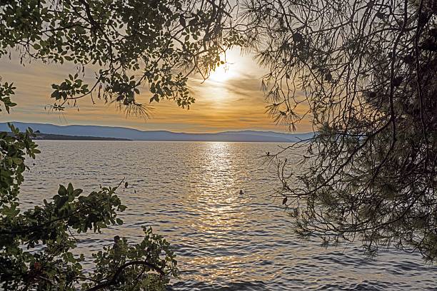 Scenic sunset over Adriatic Sea framed by branches and coastline on island Krk Croatia