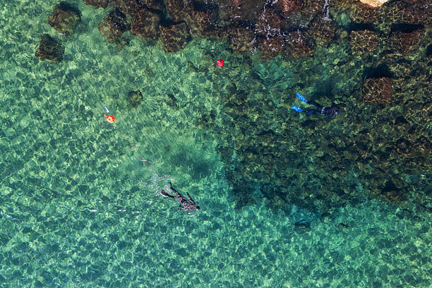 istock Drone top view of snorkel diver 2235561085