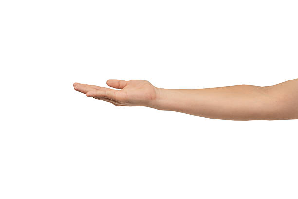 istock A hand with an open palm extended forward, isolated on a clean gray background. Perfect for concepts of offering, giving, receiving, or holding an invisible object. There is ample negative space for text or other elements. 2235561170