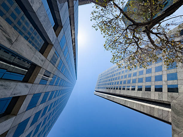 Modern skyscrapers in Sao Paulo with blue sky and tree branches