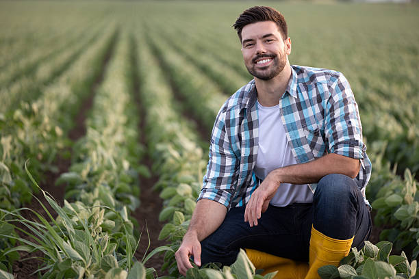 istock Smiling male farmer working in soybean field during sunny day 2235565145