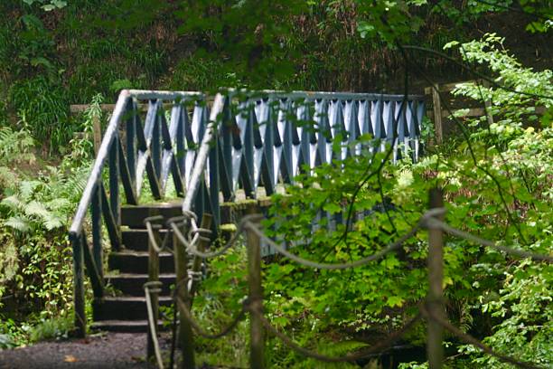 istock A small metal footbridge crosses a lush, green forest path, surrounded by dense foliage. The simple design and natural setting evoke a sense of peaceful exploration and rustic charm. 2235565904