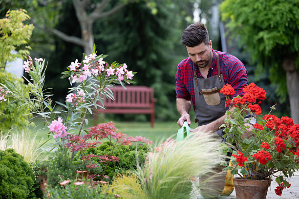 istock Man watering vibrant flowers in a beautiful garden setting 2235566307