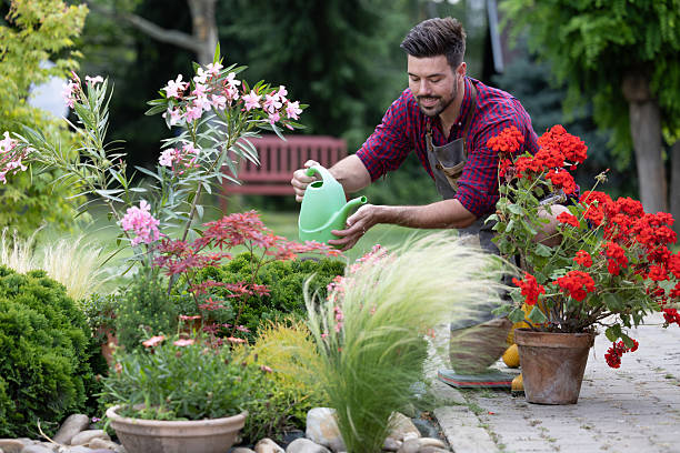 istock Man watering vibrant flowers in a beautiful garden setting 2235566320