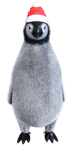 Humboldt penguin looking out in profile with its distinctive markings