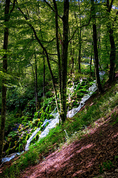 Beautiful view with wooden trekking path, autumn colors trees, lakes and waterfall landscape in Plitvice Lakes in Croatia