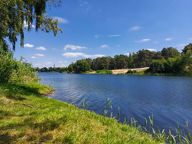 istock Calm water flows past grassy riverbank under blue sky and tree-lined shore in rural Germany 2235585867