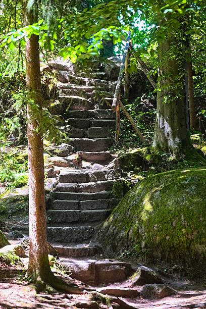 istock Stone steps rising through forest trail surrounded by mossy rocks and shaded trees 2235585941