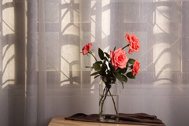 Pink roses in a vase placed on wooden table by window with white curtains, create moody tone and peaceful feel inside the room.