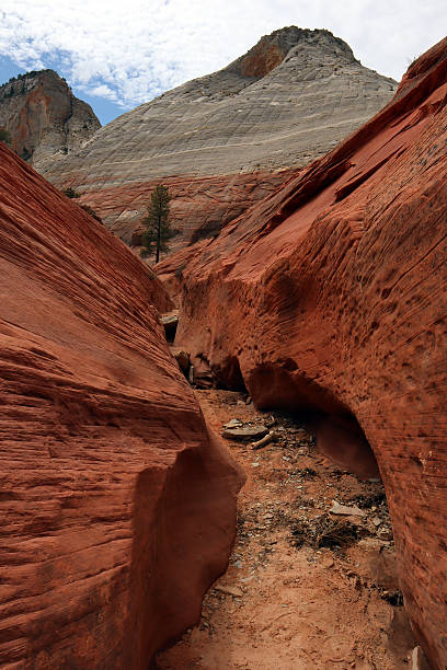 istock National Parks USA 2235588698