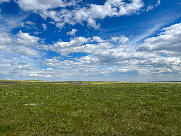 istock Montana Prairie Under Blue Sky, Wide Open Grassland Landscape with Clouds 2235592520