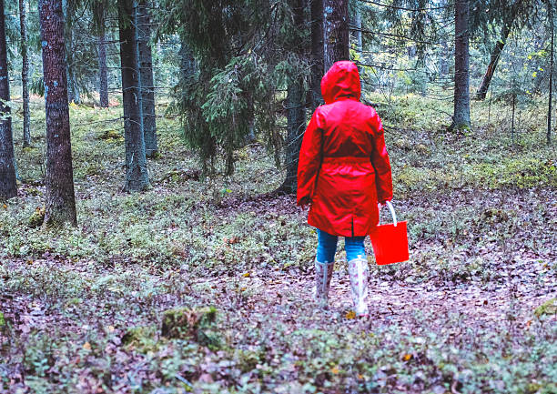 A woman in a red cloak walks along a forest path among a pine forest.