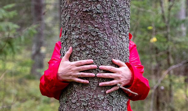 Close-up of a woman's hands hugging a tree trunk in an autumn forest.