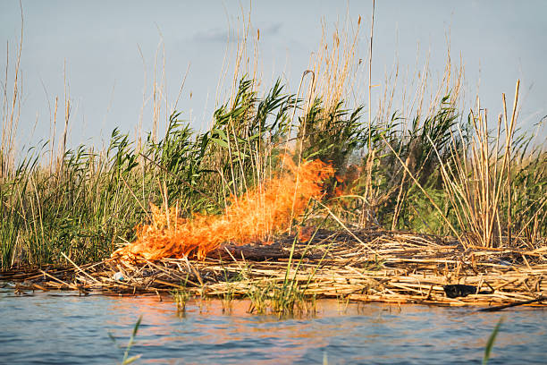 Burning reed house site in the Mesopotamian Marshes in Iraq