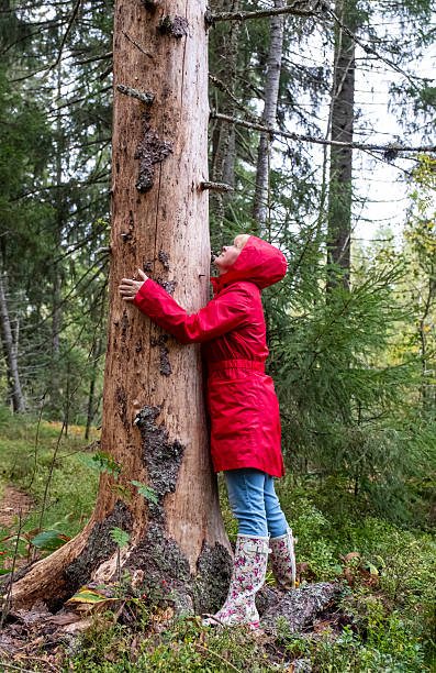 istock A middle-aged Caucasian woman in a red coat hugs a tree trunk. 2235595212
