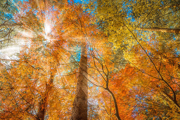 Autumn in Ordesa and Monte Perdido National Park, Spain