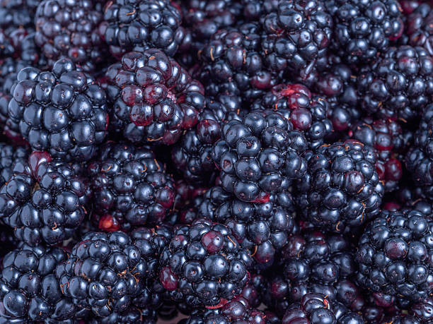 istock Fresh ripe blackberries close-up 2235596008