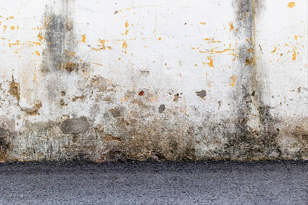 istock Weathered urban wall with peeling paint and street surface textu 2235602480