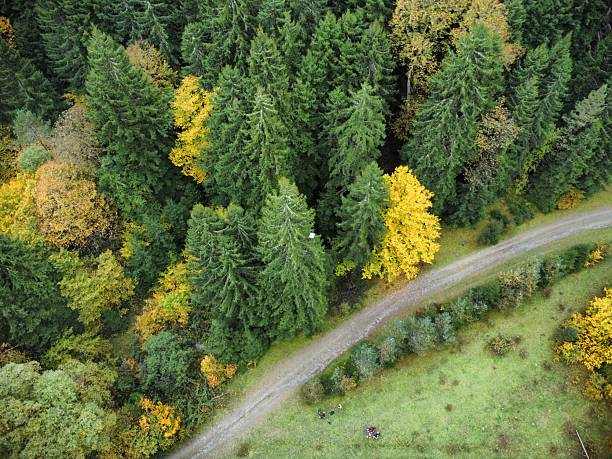 istock Aerial view of forest 2235602731