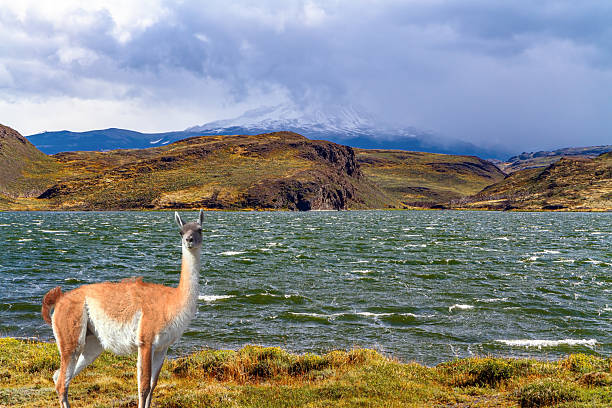 istock Las Mellizas Lagoon 2235614911