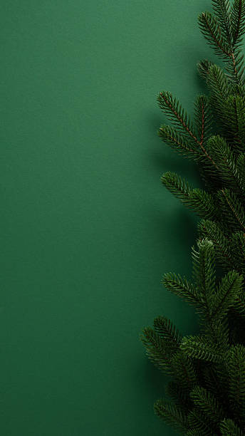 Festive vertical Christmas-themed minimalistic background featuring evergreen tree branches on a solid green backdrop, ideal for holiday greeting cards or creative seasonal projects with stylish feel