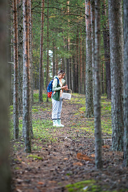 istock Satisfied woman check freshly picked mushroom for edibility in pine forest during foraging walk 2235624339