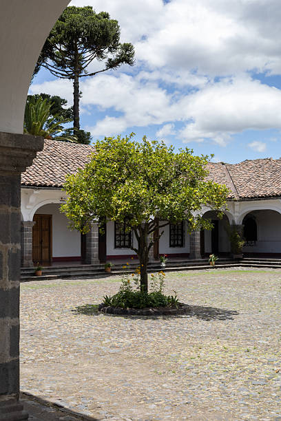 istock Colonial balcony with tiled roof and tropical plants 2235629881