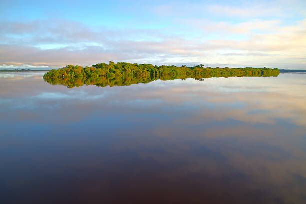 Tropical rainforest is reflected as it rises out of the flooded the Rio Negro, Amazonas, Brazil.