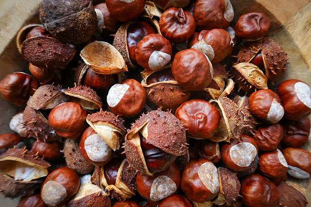 istock Chestnuts in rustic basket captured in natural light 2235642025