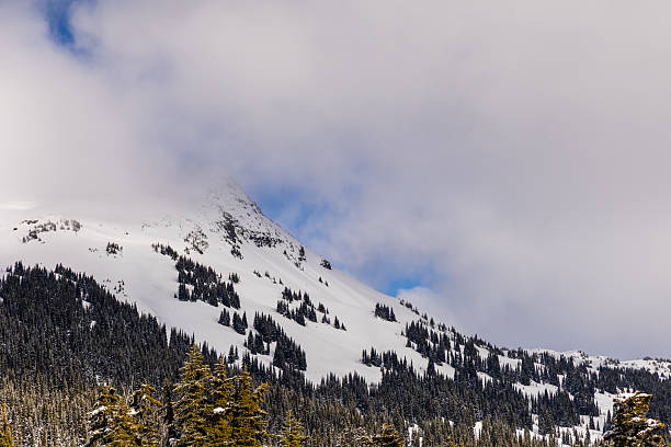 A snowy mountain in Garibaldi, Whistler, BC, surrounded by a pine forest.
