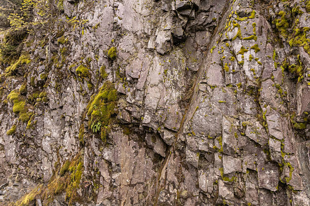 istock Moss and Rocks on a Cliff Face in BC, Canada 2235643854