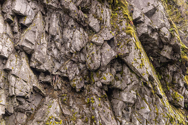 istock Rocky Cliff with Moss and Foliage in BC, Canada Natural Landscape 2235643856