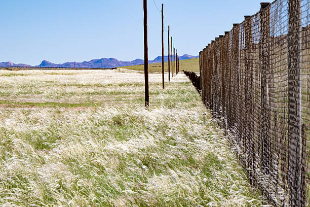 Game fence in Namibian plains