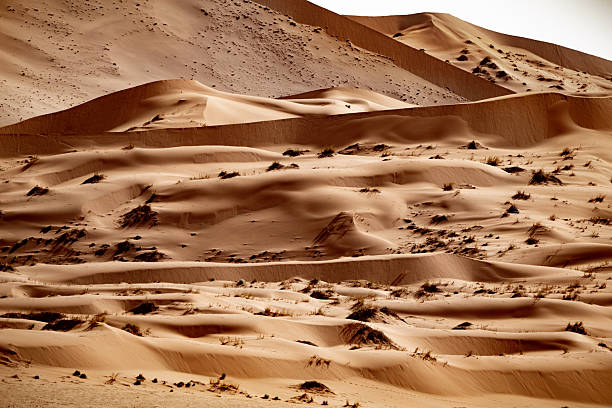 Sossusvlei sand dunes in Namib Desert