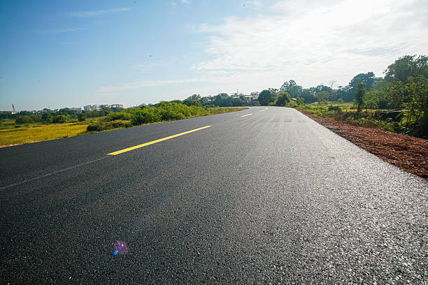 A breathtaking view captures a smooth asphalt road winding through a dense.  Golden sunrise light filters through the trees, highlighting the road's sleek texture and creating long, dramatic shadows. The scene feels both serene and powerful. It's an ideal backdrop for an automotive advertisement, where the contrast highlights a vehicle's design and performance.