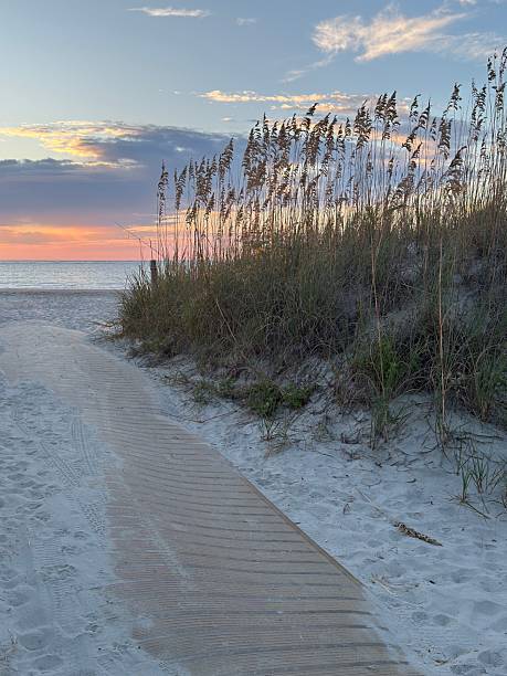 istock Sunrise at Hunting Island Beach 2235650528