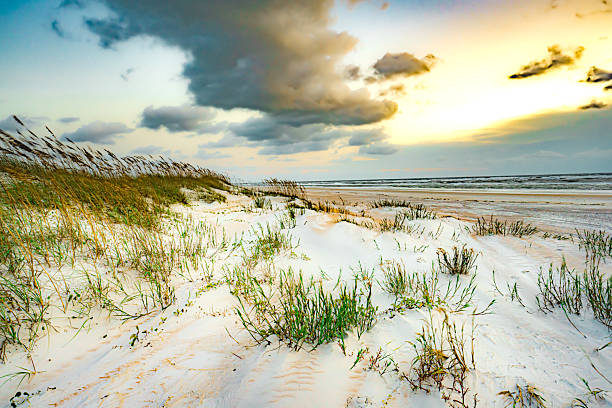 istock Cloudy sunrise on a Florida beach 2235655881