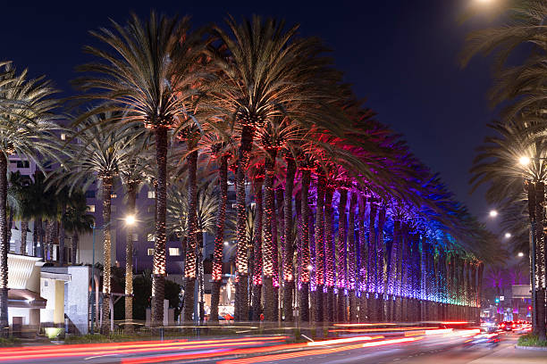 istock Night time Anaheim California Palm Trees 2235657209