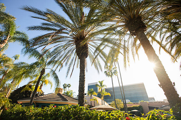 istock Downtown Anaheim California Skyline Day 2235657213