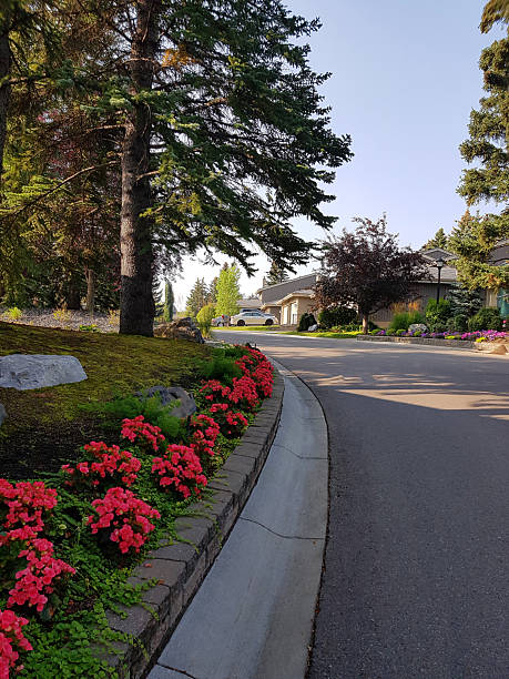 istock Flower Lined Drive Into Neighborhood Entrance 2235660607