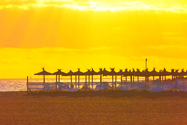 Golden hour bathes a serene beach in warm, ethereal glow, with a line of thatched umbrellas standing silhouetted against bright sky. Calm ocean meets sandy shore under  luminous horizon