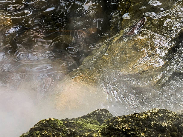 istock Whispers of Stone and Mist 2235666066
