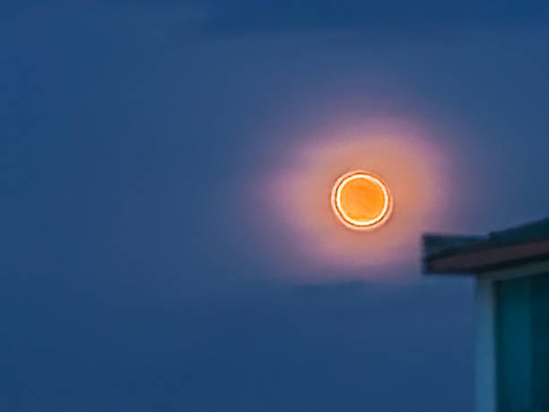 A Night Crowned by the Full Moon
