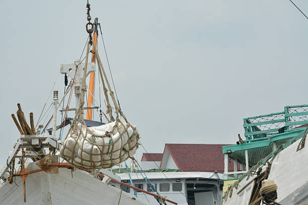 Stock image showcasing a fleet of traditional Phinisi cargo boats docking at a busy commercial harbor during midday. The scene highlights the boats actively engaged in loading and unloading activities, reflecting Indonesia’s maritime heritage and trade culture. Perfect for illustrating themes of traditional shipping, logistics, seaport economy, and cultural transportation methods that continue to play a vital role in the nation’s commerce and cargo distribution.