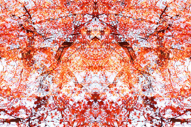 Lots of autumn leaves abstract background.