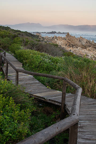 istock wooden foot path next to the coastline 2235680022
