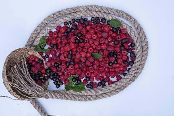 Mountain ash jam