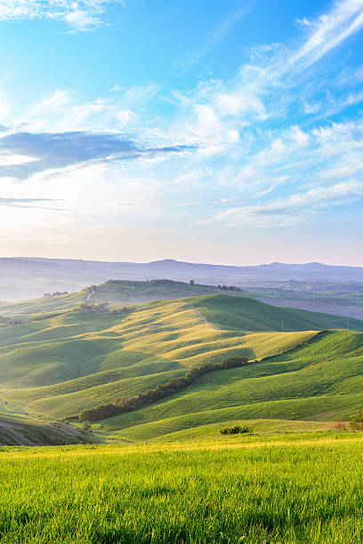 istock Morning light in a rolling Tuscan landscape in Italy 2235683915